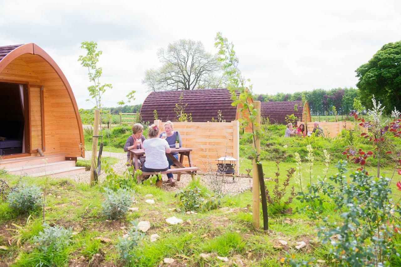 Mallow Glamping Pod Cheltenham Eksteriør billede